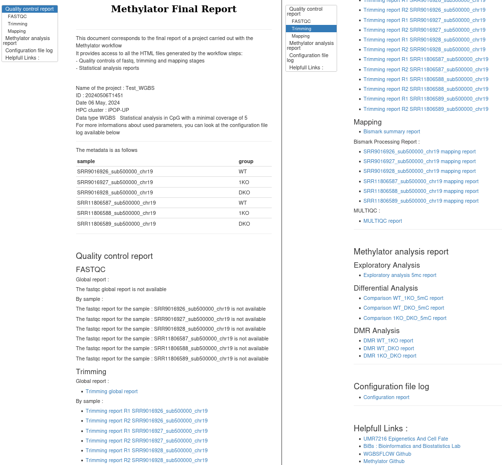 final_report