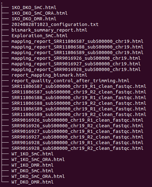 final_report_Test_WGBS_20240828T1023.tar.gz